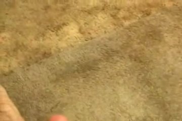 После полноценного минета Ника дрочнула хуй сиськами